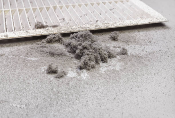 Best Ventilation Cleaning Services  in Newberry, SC